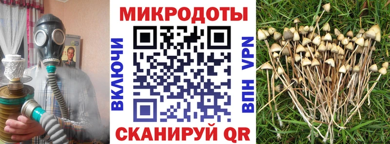 Галлюциногенные грибы GOLDEN TEACHER  Купить  Томари 